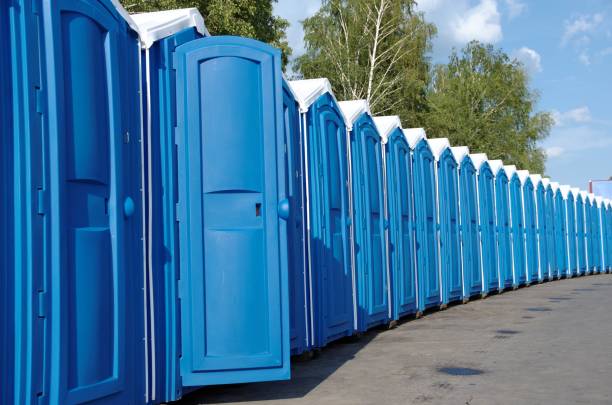 Best Affordable portable toilet rental  in Trempealeau, WI